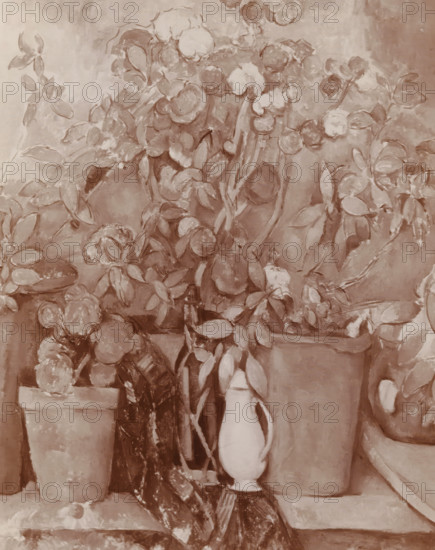 Photo reproduction of a painting with a still life with plants by Paul Cézanne from the Hoogendijk collection, now in The Barnes Foundation, photograph, reproduction, photographer: Johannes Gerardus Happel, The Hague, after painting by Paul Cézanne, c. 1915, paper, pasteboard, baryta paper, daylight gelatin silver print, height 233 mm x width 181 mm, height 302 mm x width 234 mm, picture, painting, still life of related objects, plants (in general), A monochromatic painting showing a still life arrangement of flowers and foliage in various vessels, including a tall planter, a rounded pot, a slender pitcher with a handle, and a bottle, all placed on a surface; clusters of round blossoms and layered leaves fill the upper area, with stems and buds interwoven among the containers, and textured brushstrokes create highlights and shadows across petals, leaves, and pottery.