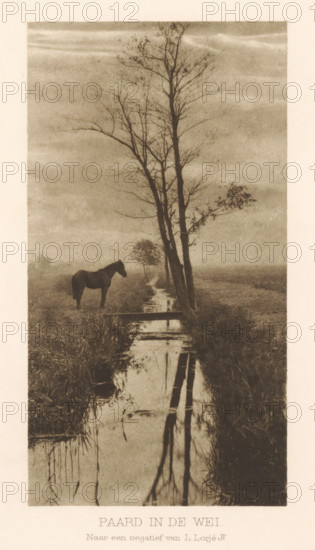 Horse in a meadow, Horse in the meadow, page, photomechanical print, photographer: L. Lorjé jr., Netherlands, cliché maker: anonymous, c. 1900 - in or before 1905, paper, photoaquatint, height 160 mm x width 85 mm, meadow, pasture, horse, trees, small canal, ditch, A narrow vertical scene showing a calm, sepia-toned landscape with a shallow stream running from the foreground toward the background, tall slender trees with bare branches standing beside the stream, the trees and some reeds reflected in the water, a dark horse standing on the grassy bank to the left of the stream, low vegetation and marshy grasses flanking the water, and a soft, textured sky above.