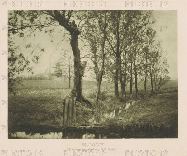Slootje, Ditch between meadows, page, photomechanical print, photographer: RP Smith, Netherlands, cliché maker: anonymous, c. 1901 - in or before 1906, clichémaker, paper, photoaquatint, height 116 mm x width 154 mm, meadow, pasture, trees, small canal, ditch, A landscape scene showing a row of tall, thin trees with sparse leaves along a grassy field, a larger twisted tree trunk in the foreground with a broken wooden post and a small rustic wooden structure at its base, a narrow reflective stream running beside the trees, distant faint shapes of sails and a boat visible across the field, scattered low vegetation and grass in the foreground, and a pale sky above.