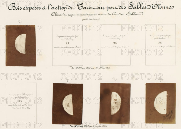 Four pieces of wood affected by worms, from the port of Les Sables-d'Olonne, France, Bois exposés à l'action du Taret au port des Sables-d'Olonne, photograph, number: 'Pl. XVI.', annotation: 'Chêne et sapin préparés pa. un marin du Port des Sables, 10 February 1864.', signature: 'B. Crolet', photographer: B. Crolet (possibly), in or before 1867, B. Crolet, photographer, paper, pasteboard, albumen print, albumendruk, height 332 mm x width 441 mm, wood, timber, building material, worms, A large sheet with hand-drawn and photographed elements arranged in a grid, featuring calligraphic headings at the top, several rectangular blank frames with handwritten notes inside, and brown rectangular photographic panels each containing a pale semicircular or crescent-shaped object; the photographic panels show varying textures and marks, and some pale shapes bear small indistinct marks; there are small handwritten figure labels above some panels and a flourish signature near one lower corner, all on...