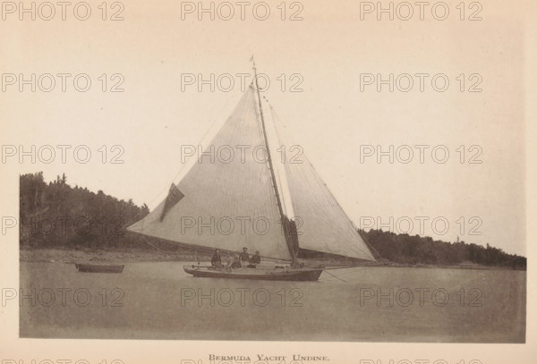 Bermuda yacht Undine, page, photomechanical print, photographer: James H. Stark, Bermuda, cliché maker: Photo-Electrotype Company, Boston (Massachusetts), c. 1879 - in or before 1884, North America, Massachusetts, paper, collotype, photoprint, height 90 mm x width 151 mm, ships (in general), A sepia-toned photograph of a sailboat on calm water with its large triangular sails raised, a small group of people seated on the deck, a smaller rowboat floating nearby, and a tree-lined shoreline in the background.