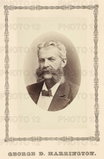George D. Harrington, photograph, page, c. 1876 - in or before 1881, photographer, paper, albumen print, height 93 mm x width 58 mm, adult man, An oval sepia portrait of an older man with wavy light hair and large bushy sideburns and mustache, wearing a dark jacket, light shirt, and bow tie, set on a rectangular pale background with an ornate decorative border around the page.