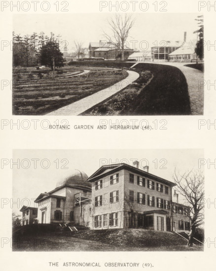 Botanic garden and herbarium, The astronomical observatory, page, photomechanical print, number: '(48) (49)', Cambridge (MA), c. 1881 - in or before 1886, North America, Massachusetts, paper, collotype, photoprint, height 168 mm x width 126 mm, Prints opposite page 60., facade (of house or building), botanic garden, 'hortus botanicus', observatory (, astronomy), Harvard College, A sepia-toned image shows two separate rectangular photographs stacked vertically on a pale background; the top photograph depicts a landscaped garden with curved walking paths bordered by low plant beds leading toward a complex of glass and wooden structures including a long greenhouse with many windows and a taller building with a pitched roof, a leafless tree standing near the buildings, and evergreen trees and a distant church steeple along the horizon; the bottom photograph shows a multi-story wooden building with many shuttered windows and a columned entrance next to a domed structure, with exterior stair...