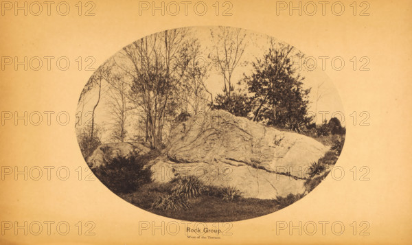 Rock group, page, photomechanical print, Central Park (New York), c. 1866 - in or before 1871, North America, New York (city), paper, collotype, photoprint, height 117 mm x width 160 mm, Print after page 168., rock formations, A circular sepia-toned photograph centered on a pale paper background showing a rocky outcrop with smooth, weathered surfaces and visible cracks, surrounded by clusters of spiky grasses and low vegetation at its base, with slender, leafless or sparsely leaved trees rising behind and around the rocks and a denser, darker evergreen tree toward one side, all rendered in fine dark lines and soft shadows against the lighter sky within the circular frame.