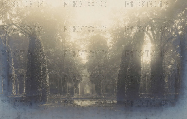 View of trees surrounding a water, Le Bassin des Dames, photograph, page, photographer: Coppin-Goisse, c. 1904 - in or before 1909, paper, gelatin silver print, developing gelatin silver print, height 84 mm x width 127 mm, trees, landscapes with waters, waterscapes, seascapes (in the temperate zone), Beloeil, A faded photograph shows a tree-lined avenue with tall trees on both sides covered in climbing vines, their canopies forming a tunnel overhead and filtering soft light that creates a hazy glow; a rectangular reflective pool sits in the foreground, bordered by low stone edges, and a distant pathway or clearing is visible through the trees toward the center, all framed by a wide mat with a pale inner border.