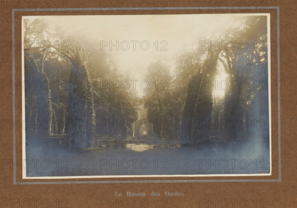 View of trees surrounding a body of water, Le Bassin des Dames, photograph, page, photographer: Coppin-Goisse, c. 1907 - in or before 1912, paper, gelatin silver print, developing gelatin silver print, height 84 mm x width 127 mm, trees, landscapes with waters, waterscapes, seascapes (in the temperate zone), Beloeil, A faded rectangular photograph mounted on brown textured paper shows a tree-lined pathway with tall trees on both sides whose trunks and canopies are partially covered in vines. Light filters through the upper center of the image, creating a bright, hazy sky and soft highlights on the leaves and trunks. A narrow reflective water surface runs along the center foreground, catching the light. The photograph has a thin white border and is framed by lighter rectangular lines on the brown mounting.
