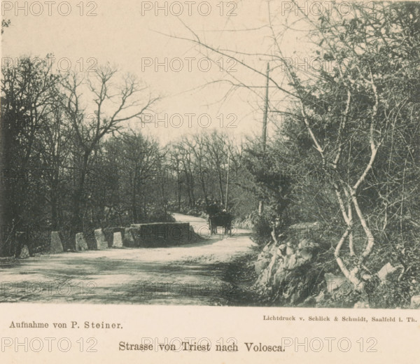View of a horse-drawn cart on a path, Strasse von Triest nach Volosca, page, photomechanical print, photographer: P. Steiner, maker: Schlick, v. & Schmidt, c. 1894 - in or before 1899, paper, collotype, photogravure, height 82 mm x width 115 mm, road, path, trees, animal traction, animal-drawn vehicle (carriage etc.), A narrow unpaved road winds through a wooded area with bare-branched trees on both sides and dense underbrush, a stone wall running along the right edge with exposed rocks and slender pale-barked trunks in front, and a small horse-drawn cart with a covered rear traveling away along the road toward a darker cluster of trees in the distance under a pale sky.