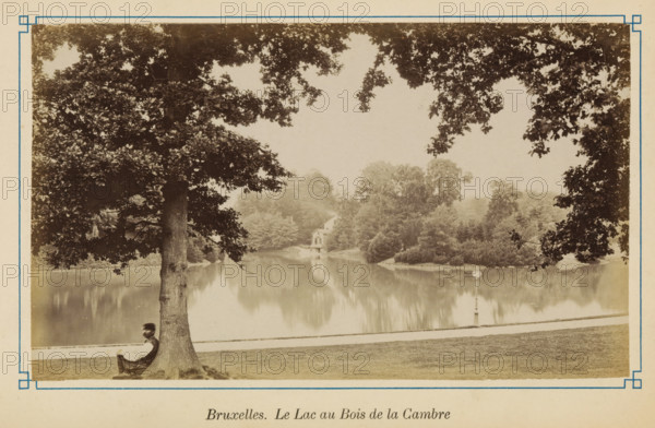 View of the Bois de la Cambre in Brussels, Bruxelles. Le Lac au Bois de la Cambre, photograph, page, Ter Kamerenbos, c. 1875 - c. 1880, photographer, Brussels, paper, albumen print, albumendruk, height 102 mm x width 172 mm, forest, wood (landscape with figures, staffage), river mouth, estuary, A sepia-toned lakeside scene framed by overhanging tree branches with a large tree trunk in the foreground and a person sitting at its base facing away from the water, a calm reflective lake beyond with a small house partially obscured by trees on the far shore, dense foliage and shrubs along the shoreline, a paved path running between the grass and the lake, and a lamp post near the water’s edge.