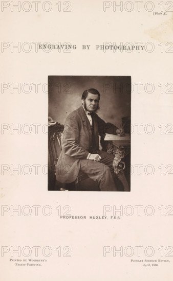 Professor Huxley, FRS, Engraving by photography, page, photomechanical print, cliché maker: Walter Bentley Woodbury, c. 1861 - in or before 1866-04, photographer, paper, Woodburytype, height 85 mm x width 61 mm, Person, Thomas Henry Huxley, historical persons (three-quarter length portrait), A sepia-toned portrait of a man seated beside an ornate carved table, wearing a dark suit jacket and light shirt with a bow at the collar, his hand resting on the table near a stack of papers and a pen, the other hand resting on his knee, his hair combed back with sideburns, a serious facial expression, the portrait set against a plain darker backdrop and mounted on a larger sheet with ample blank margins.