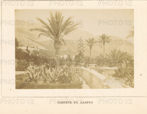 View of the gardens of the Monte Carlo casino in Monaco, Jardins du Casino, photograph, page, Monaco, c. 1873 - in or before c. 1878, photographer, paper, albumen print, albumendruk, height 59 mm x width 88 mm, garden, casino, Monte Carlo, Monte Carlo Casino, A sepia-toned photograph shows a garden scene with tall palm trees rising above dense foliage and spiky agave-like plants in the foreground, a curved stone balustrade with urn-like planters alongside a pathway, distant hills forming a hazy backdrop, and various shrubs and trees filling the middle ground.