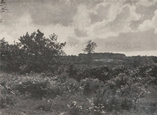 Breton landscape, Lande Bretonne, page, photomechanical print, photographer: Constant Puyo, Brittany, cliché maker: Türcke, Munich, c. 1891 - in or before 1896, Bavaria, paper, autotype, zincogravure, height 111 mm x width 150 mm, landscapes, A rectangular black-and-white photograph framed by a light border shows a landscape with a foreground of dense low vegetation and leafy plants, a middle ground with taller shrubs and a few small trees with irregular canopies, and a distant ridge of treetops along the horizon; above, a sky filled with layered clouds ranging from soft, diffuse formations to more defined, billowing shapes.