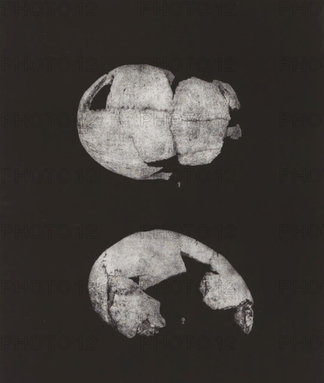 CRÂNE HUMAIN. 1. SINCIPUT, 2. PROFIL 1, 2 nature, Two views of a human skull, top view and en profile, page, photomechanical print, number: 'Pl. 48', monogram: 'LEL', inscription: 'Ville de Paris. Atelier des Travaux historiques. E. Lacan dir. Procédé spécial photo-lithographique.', France, cliché maker: Ville de Paris Atelier des Travaux historiques, Paris, publisher: Imprimerie Impériale, supervision: Ernest Lacan, c. 1860 - in or before 1869, photographer, paper, photolithography, height 239 mm x width 189 mm, For location of print in book: see number under 'Inscriptions, Brands'., animals (skeleton of an animal), palaeontology, A vertical black rectangle framed by a thin white border contains two grayscale fragmented skull illustrations on a dark background, one near the top showing an upper rounded portion with missing sections and rough textured surfaces, and one below showing a rounded fragment with irregular gaps and worn edges; a thin white margin surrounds the rectangle with ...