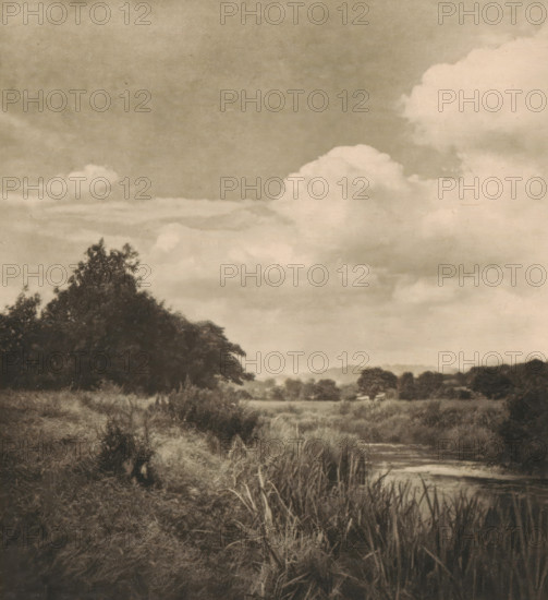 Landscape in Great Britain, page, photomechanical print, inscription: 'GB. I.', photographer: Alfred Horsley Hinton, cliché maker: anonymous, c. 1900 - in or before 1905, paper, photoaquatint, height 131 mm x width 117 mm, landscapes in the temperate zone, Great Britain, A sepia-toned photograph shows a landscape with a large leafy tree on a grassy bank at the left, tall reeds and grasses in the foreground, and a narrow winding stream or river running through the scene toward the right; distant low hills and scattered trees appear along the horizon, and the sky above is filled with large fluffy clouds.