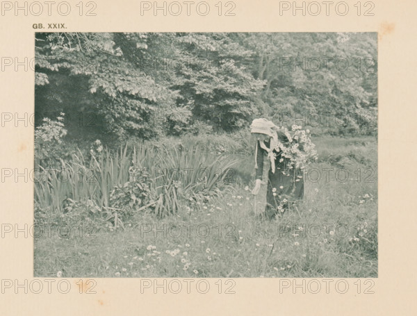 Woman picking flowers in a meadow, page, photomechanical print, inscription: 'Summer landscape by Graystone Bird', inscription: 'GB. XXIX.', photographer: Graystone Bird, cliché maker: anonymous, c. 1900 - in or before 1905, paper, autotypie, height 100 mm x width 140 mm, picking flowers, A faded photograph shows a grassy meadow with scattered small flowers and taller clumps of leafy plants, bordered by dense trees and shrubs in the background; a person stands near the plants, seen from behind and wearing a head covering and layered clothing while holding a large bouquet of flowers that partly obscures their body.