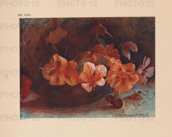 Flower still life of nasturtiums, page, photomechanical print, inscription: 'Nasturtiums by J. Cruwys Richards', monogram: 'AG', inscription: 'GB. XXX.', photographer: James Cruwys Richards, cliché maker: anonymous, c. 1900 - in or before 1905, paper, autotypie, height 98 mm x width 131 mm, still life of plants, flowers and fruit, A rectangular illustration centered on a pale paper background shows a close-up of several flowers with soft, ruffled petals in warm reddish and peach tones set against a dark, textured backdrop; a few leaves and smaller buds in muted green and brown hues are interspersed among the blossoms, and a darker, rounded form lies beneath them, with a lighter bluish area near the bottom edge of the illustration.