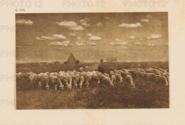 Shepherd in Campagna, page, photomechanical print, inscription: 'Flock of sheep in the Campagna by L. Kusmitsch', inscription: 'G. VIII.', photographer: Karl Leo Kusmitsch, Campagna, cliché maker: anonymous, c. 1900 - in or before 1905, paper, autotypie, height 95 mm x width 150 mm, herding, herdsman, herdswoman, shepherd, shepherdess, cowherd, A sepia-toned landscape showing a wide sky with scattered clouds above a flat horizon, with a triangular-shaped structure visible in the distance. In the foreground a flock of sheep fills the lower area, their heads lowered as they graze, and a lone figure stands slightly behind them holding a staff or pole. The image has a faded, textured appearance and is bordered by a lighter margin.