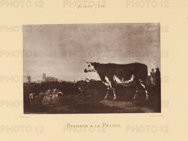 Bestiaux a la Prairie, Reproduction of a painting of cows and sheep by Aelbert Cuyp, reproduction, page, photomechanical print, photographer: Joseph Maes, Antwerp, after painting by Aelbert Cuyp, c. 1873 - in or before 1878, paper, Woodburytype, Woodburytypepie, height 107 mm x width 163 mm, sheep, cow, A sepia-toned image showing a large framed scene centered on a pastoral landscape with a prominent cow in the foreground facing left, its body mottled with light and dark patches, and a group of sheep lying on the ground nearby. In the distant background there is a low silhouette of buildings and a windmill against a textured sky. At the far right edge of the framed scene two small standing figures are visible near the cow. The framed scene is set on a cream-colored page with a small decorative title area above and below the framed image.