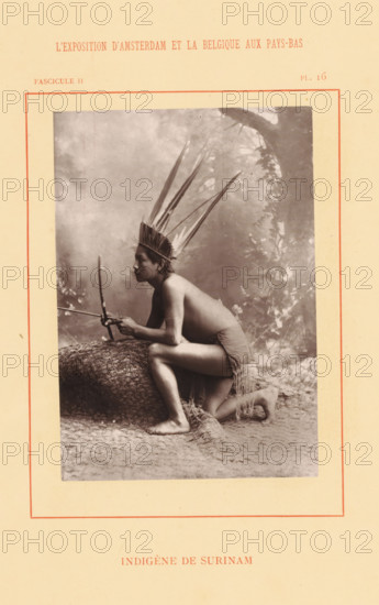 Surinamese man with bow and arrow, Indigène de Surinam, page, photomechanical print, inscription: 'Fascicle II, PL. 16', photographer: attributed to Photographie Française (Amsterdam), cliché maker: anonymous, c. 1878 - in or before 1883, Attributed to, paper, Woodburytype, height 140 mm x width 98 mm, adult man, archer's weapons: bow and arrow, world fair, world exhibition, World Exhibition 1883 (Amsterdam), A sepia portrait shows a person kneeling on the ground with one knee bent and the other foot flat, leaning forward with forearms resting on a large textured log. The person wears a tall feathered headdress and a simple cloth wrapped around the waist with fringed edges, and they hold a bow in one hand and an arrow in the other, the arrow poised on the bowstring. The background features a soft, painterly scene of foliage and a tree trunk, and the image is mounted on a pale page with a thin colored border surrounding the photograph.