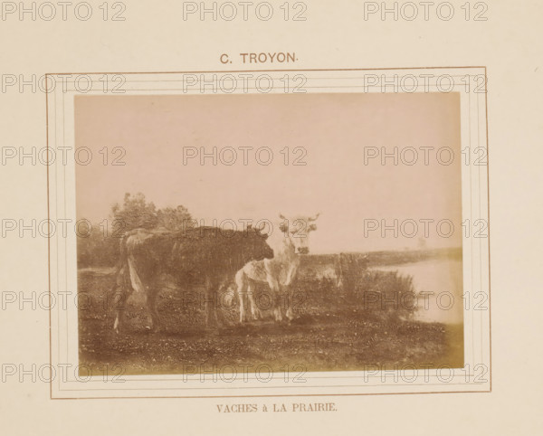 Vaches à la prairie, Photo reproduction of Vaches à la prairie by Constant Troyon, photograph, reproduction, page, inscription: 'C. Troyon', after painting by Constant Troyon, c. 1878 - in or before 1883, photographer, paper, albumen print, albumendruk, height 97 mm x width 139 mm, cow, painting, drawing and the graphic arts, A sepia-toned framed photograph of a pastoral scene showing two cows standing on grassy ground near a body of water, with one cow darker and the other lighter in color, trees or shrubs in the background, a wide blank sky above, and decorative double-line borders around the image on an off-white mount.