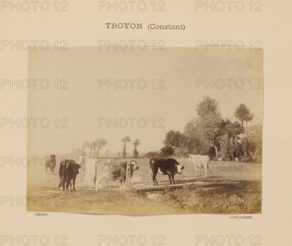 Photo reproduction of Bestiaux au pâturage by Constant Troyon, Troyon (Constant), photograph, reproduction, page, photographer: Alexandre, after painting by Alfred Stevens, c. 1888 - in or before 1893, paper, albumen print, albumendruk, height 103 mm x width 146 mm, cow, painting, drawing and the graphic arts, A sepia-toned image mounted on a textured beige background showing a pastoral scene with several cows grazing and standing on open grassy land, a shallow water trough or puddle in the foreground, a cluster of tall trees and dense foliage to the right, more distant trees and open plains visible toward the background, and the photograph framed within a lighter rectangular border against the mounting.