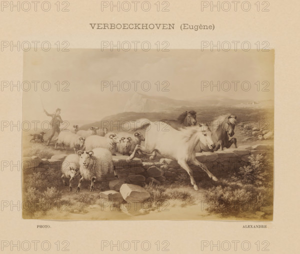 Photo reproduction of Troupeau sautant une Barrier by Eugène Verboeckhoven, Verboeckhoven (Eugène), photograph, reproduction, page, photographer: Alexandre, after painting by Eugène Verboeckhoven, c. 1888 - in or before 1893, paper, albumen print, albumendruk, height 100 mm x width 147 mm, horse, sheep, painting, drawing and the graphic arts, A sepia toned illustration mounted on a beige page showing a pastoral scene with a herder on a hillside holding a staff and accompanied by a dog, a flock of sheep in the foreground many with curled horns and thick wool, and several horses with flowing manes moving among rocks and low stone walls, with distant cliffs and rolling terrain in the background and scattered bushes and rocky ground in the foreground.