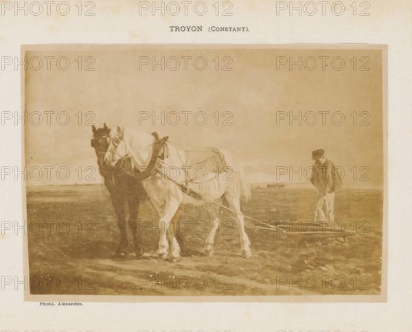 Photo reproduction of a painting of a farmer working in the field with two horses pulling a plow by Constant Troyon, photograph, reproduction, page, photographer: Alexandre, after painting by Constant Troyon, c. 1875 - in or before 1880, paper, albumen print, height 121 mm x width 171 mm, horse, plowing (men (labourers)), A sepia-toned image shows two horses standing side by side on a flat, open terrain, one lighter and one darker, both wearing harnesses and a cloth draped over the lighter horse; ropes extend from the harnesses toward the ground. To the right of the horses a person wearing a hat and coat walks or stands facing slightly away, and in the distant background there are small shapes resembling grazing animals on the horizon. The foreground ground appears textured with faint tracks and scattered small marks.