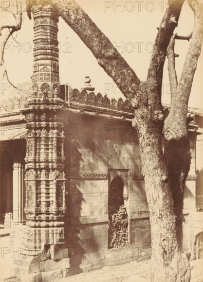 Ránee Seepree.- Northern corner of the Mosque, Decorated corner pillar of the Rani Sipri's Mosque in Ahmedabad, photograph, page, inscription: 'H2', number: '26.', photographer: Thomas Biggs, Ahmedabad (city), c. 1856 - in or before 1866, Thomas Biggs, photographer, Gujarat, paper, albumen print, height 188 mm x width 135 mm, temple, shrine, Islam, Mohammedanism, column, pillar, architecture, Rani Sipri Mosque, A sepia-toned photograph showing a stone building corner with ornate carved pillar work featuring layered decorative bands and floral motifs, a rectangular wall surface with a small arched opening filled with piled stones, a decorative frieze along the roofline with circular medallion patterns, and a large tree trunk and branches dominating the right side of the image and partially obscuring the building facade.