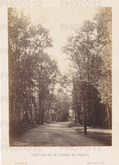 Walking path in the Bois de Vincennes, Sentier de la combe au pendu, Bois de Vincennes, photograph, page, photographer: Ildefonse Rousset, c. 1861 - in or before 1866, Paris, paper, albumen print, height 175 mm x width 129 mm, road, path, public gardens, park, A vertical photograph showing a dirt road running away from the viewer and curving slightly, flanked on both sides by tall trees with dense foliage forming a canopy overhead, with sunlight filtering through the leaves creating dappled light on the ground, a solitary wooden post standing near the right edge of the road, and the scene bordered by a wide light-colored margin.