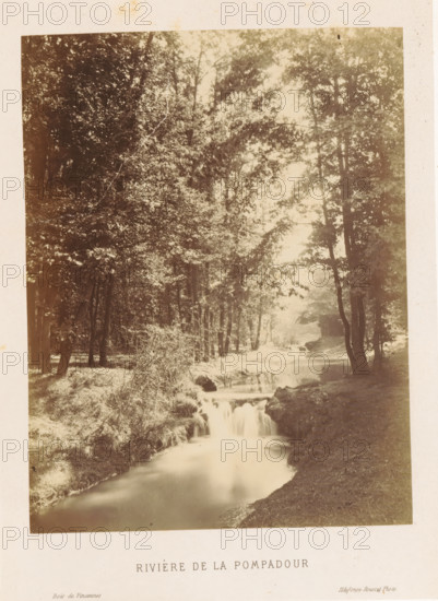 Rivière de la Pompadour, River in the Bois de Vincennes, Bois de Vincennes, photograph, page, photographer: Ildefonse Rousset, c. 1861 - in or before 1866, Paris, paper, albumen print, height 173 mm x width 132 mm, river, public gardens, park, A sepia-toned photograph of a wooded scene showing a calm narrow river flowing toward the foreground with a small cascading drop over rocks, tree trunks along both banks, dense leafy canopies overhead filtering light, grassy and brush-covered riverbanks, reflections of trees in the water, and a soft bright area in the distance beyond the trees.