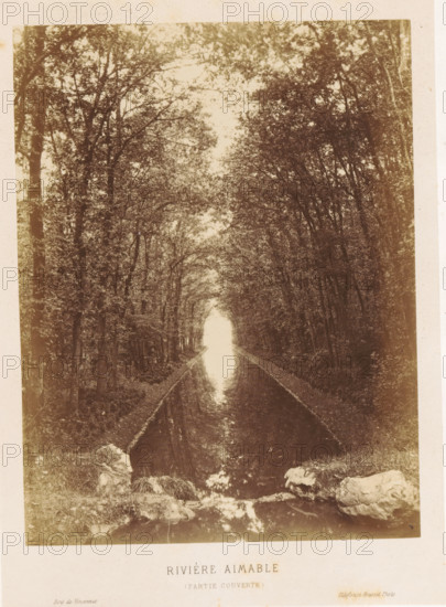 River in the Bois de Vincennes, Rivière aimable (partie couverte), Bois de Vincennes, photograph, page, photographer: Ildefonse Rousset, c. 1861 - in or before 1866, Paris, paper, albumen print, height 178 mm x width 138 mm, river, public gardens, park, A narrow waterway stretches away from the foreground toward a bright vanishing point, flanked on both sides by tall trees whose branches form a dense canopy overhead, their leaves creating a textured pattern against the sky; the water surface reflects the trees and light above, and grassy, rocky banks with small stones and tufts of grass frame the near edge of the scene.