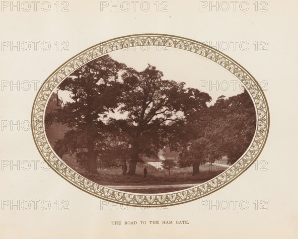 View of a road and trees in Richmond Park, The road to the Ham Gate, page, photomechanical print, Richmond Park, c. 1879 - c. 1889, London, paper, Woodburytype, height 101 mm x width 147 mm, trees, public gardens, park, A circular sepia photograph framed by a decorative patterned border shows a landscape with large leafy trees whose branches and foliage create a dense canopy, a grassy foreground with a winding path and a small figure standing near the base of one tree, and a lighter area in the middle distance that suggests an open space beyond the trees.