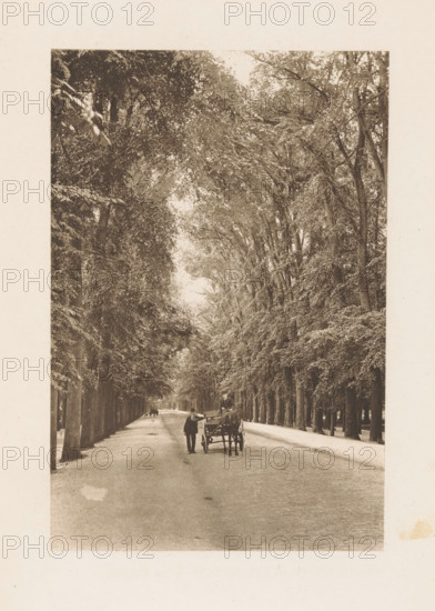 Carriage on the access road to Huis ten Bosch Palace in The Hague, page, photomechanical print, title: 'Main Drive in the Bosch, The Hague.', photographer: Charles L. Mitchell, Haagse Bos, cliché maker: AW Elson & Company, Boston (Massachusetts), c. 1884 - in or before 1894, The Hague, North America, Massachusetts, paper, photoaquatint, height 125 mm x width 85 mm, forest path or lane, A long tree-lined avenue with tall trees on both sides forming a canopy overhead and a wide dirt road beneath, a horse-drawn carriage positioned near the center with a person standing beside it and another seated on the carriage, distant figures and another carriage further down the road, the scene rendered in a sepia-toned photographic style with a blank border surrounding the image.
