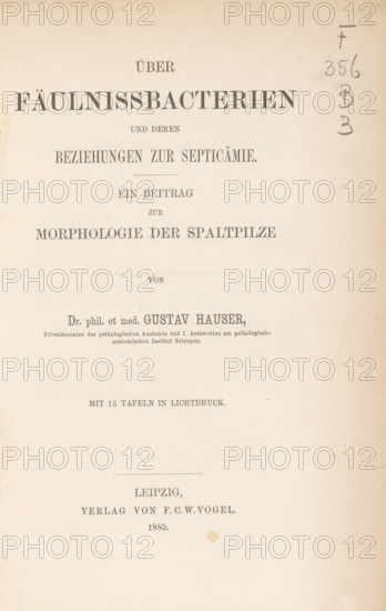 Other Fäulnissbacterien und deren Beziehungen zur Septicämie and Beitrag zur Morphologie der Spaltpilze, book, writer (clerical worker): Gustav Hauser, publisher: Friedrich Christian Wilhelm Vogel, Leipzig, 1885, writer (clerical worker), Saxony, paper, collotype, photoprint, height 257 mm x width 175 mm x thickness 12 mm, A cream-colored page with printed large dark headings centered near the top and smaller centered lines of printed text descending toward the middle and lower areas, a vertical faint pencil or charcoal scribble with rounded marks near the right margin, a thin horizontal line and a short printed horizontal ornament in the mid-lower area, small irregular spots and light stains scattered across the page, and a narrow darker left edge where the page appears slightly shadowed.