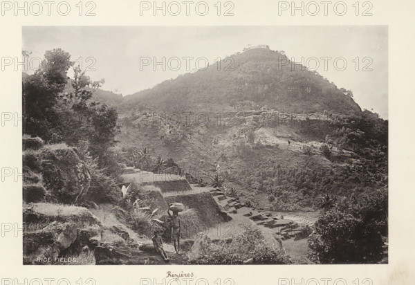 Rice fields, page, photomechanical print, inscription: 'Rizières', maker: Henry William Cave, Ceylon, c. 1900, South Asia, paper, collotype, photoprint, height 124 mm x width 188 mm, sawahs, rice paddies, A wide black-and-white photograph of a steep, terraced hillside with layered rice paddies carved into the slope, dense vegetation covering much of the hill, and a ridge rising to a rounded summit; in the foreground there are rocky outcrops, plants and trees, and two people near the lower terraces, one standing and carrying an object on their head and the other seated on a rock; scattered trees and palms dot the terraces and lower slopes, and the sky above is pale and largely unobstructed.