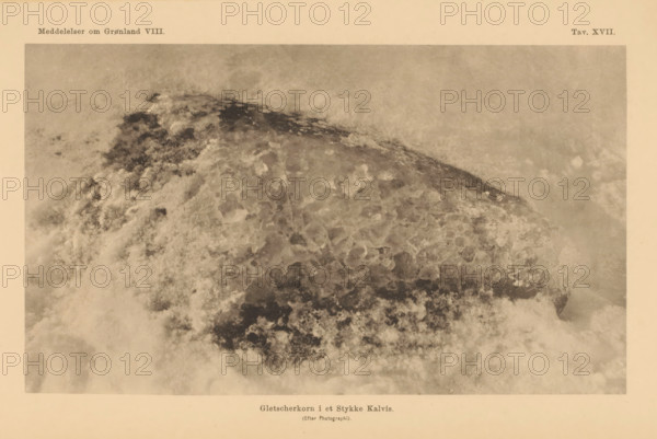 Gletscherkorn i et Stykke Kalvis, Ice from a glacier in Greenland, page, photomechanical print, number: 'Attn. XVII.', Greenland, cliché maker: Pacht & Crone, c. 1883 - in or before 1888, photographer, paper, collotype, photoprint, height 99 mm x width 169 mm, Print after page 295., glacier (in polar regions), A sepia-toned aerial photograph showing a large rounded ice formation with a textured surface of irregular, faceted blocks and smoother worn areas, surrounded by swirling clouds and mist that obscure parts of the formation; the image is bordered by a lighter margin.
