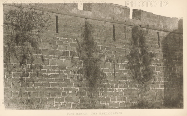 Fort Marion, the west curtain, page, photomechanical print, photographer: WA Cox, Saint Augustine, cliché maker: anonymous, c. 1883 - in or before 1888, North America, paper, collotype, photoprint, height 104 mm x width 158 mm, fortress, Castillo de San Marcos, A grayscale photograph of a tall stone wall with visible rectangular masonry blocks and mortar lines, showing vertical narrow slits near the top and a horizontal ledge running along the wall beneath the parapet; sections of the wall have darker vertical stains and patches of climbing vegetation and roots, with a cluster of tangled branches and foliage hanging over the left side, and the top of the wall features rough stone battlements against a pale sky.