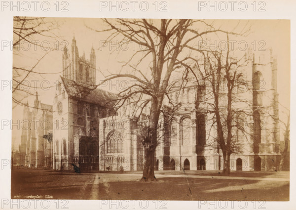 View of the south side of Canterbury Cathedral, The Cathedral, South Side, photograph, page, number: '21355 Canterbury Cath. S.Side', Canterbury Cathedral, c. 1882 - in or before 1892, photographer, Kent, Canterbury, paper, albumen print, height 115 mm x width 175 mm, church (exterior), A sepia-toned photograph of a large Gothic cathedral viewed from an open lawn, with tall stone walls, arched windows, and ornate doorways partially obscured by several leafless trees with sprawling branches; the foreground shows a grassy area with faint walkways and a few small figures near the building, while the cathedral rises with towers and buttresses across the middle and background, and bare branches frame the upper portion of the image.