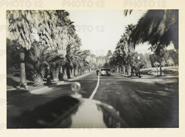 Beverly Hills, Hollywood, California, United States: view from a moving car, Beverij Hills Hollijwood, photograph, title: 'BEVERIJ sic HILLS HOLLIJWOOD', photographer: attributed to Wouter Cool, United States of America, 1936, North America, Attributed to, pasteboard, paper, gelatin silver print, developing gelatin silver print, height 150 mm x width 217 mm, height 315 mm x width 285 mm, public road, trees: palm-tree, A black and white photograph showing a straight paved road lined with palm trees on both sides, with a vehicle visible near the center of the road and another small vehicle further ahead, a lamppost on the right sidewalk, dense palm fronds creating shaded areas along the road, a blurred hood ornament and part of a car visible in the foreground, and a bright sky above.