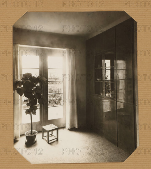 Interior, possibly Frankfurt, photograph, A photo of an interior, Germany, annotation, photographer: unknown (signed by artist), commissioner (person who orders works): Franz Schuster, Frankfurt am Main, c. 1925 - c. 1940, commissioner (person who orders works), Hessen, paper, gelatin silver print, developing gelatin silver print, height 143 mm x width 120 mm, height 321 mm x width 222 mm, Moscow, A monochrome interior scene shows a corner of a room with tall glass doors letting in bright light, sheer curtains hanging at the doors, a potted plant with large leaves standing on the floor beside a small square stool with a woven top, and a built-in wooden cabinet with reflective glass panels occupying the adjacent wall; the floor is carpeted and the photograph is mounted on a corrugated cardboard mat with clipped corners.