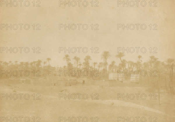 Landscape in Northern Egypt, Haute Egypt, photograph, inscription: '1082, 7', watermark: 'from paper manufacturer Canson Frères', inscription: 'Haute Egypt', inscription: 'Village Arabe à Katjoumi ?, près ... de Égypte, E. Bennecke', photographer: attributed to Ernest Benecke, Egypt, 1852, North Africa, Attributed to, paper, salted paper print, height 146 mm x width 211 mm, trees: palm-tree, A faded sepia-toned scene showing a low horizon of tall, slender palm trees with fronds, their silhouettes rising above a hazy foreground; closer to the viewer there are indistinct rectangular structures and blurred ground features, and two larger, faintly striped rectangular forms stand among the trees on the right side of the image.