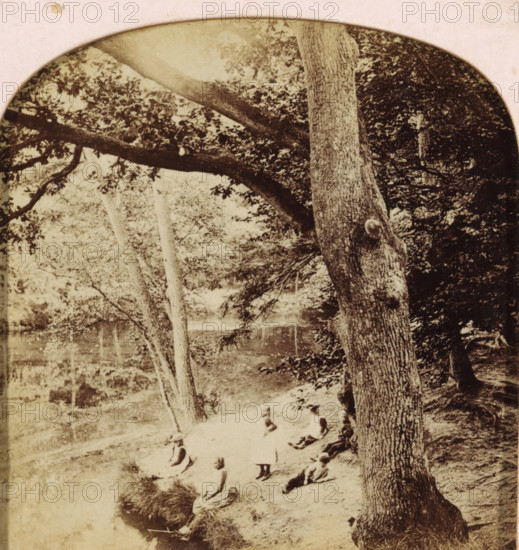 Children by a pond in the woods, photograph, stereograph, inscription: 'Photografische Kunst Inrichting Aug. WF Vogt-Amsterdam', photographer: attributed to JG Beers, Netherlands, publisher: August Frederik Willem Vogt, c. 1895 - c. 1905, Attributed to, paper, albumen print, Tissue, colored, height 75 mm x width 150 mm, A sepia-toned outdoor scene showing large tree trunks and branches in the foreground and background, dense foliage creating a canopy, a sloping bank leading down to a body of water partially visible, and several people seated or reclining on the ground near the water's edge wearing long dresses and hats.