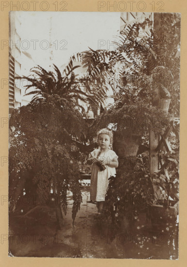 Portrait of Rose Charlotte van Lelyveld between plants, photograph, photographer: attributed to Théodore van Lelyveld, Paramaribo (city), 1898 - 1900, Attributed to, paper, pasteboard, baryta paper, daylight collodion silver print, height 165 mm x width 116 mm, height 255 mm x width 203 mm, Person, Rose Charlotte van Lelyveld, historical persons - BB - woman, tot, toddler, the ages of man, A sepia photograph of a young child standing barefoot on a wooden floor among large potted ferns and trailing plants, the child wearing a light-colored dress with short sleeves and holding a small object in both hands, with short curly hair and a neutral expression, surrounded by dense foliage that arches overhead and around a trellis visible to the right, with window slats and bright light behind the plants and a narrow vertical strip of brighter sky at the top.