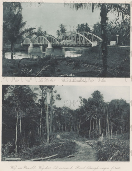 Stabat - Government Bridge (above), Road through the jungle (below), Bridge at Stabat (above) and road through the jungle on Sumatra (below), photomechanical print, Part of Album with heliogravures of Sumatra's east coast., number: '19', photographer: Carl J. Kleingrothe, Sumatra, clichémaker: Johann Baptist Obernetter, Munich, in or before 1898, Carl J. Kleingrothe, Johann Baptist Obernetter, photographer, clichémaker, Bavaria, paper, photoaquatint, heliogravure, height 128 mm x width 219 mm, height 131 mm x width 220 mm, landscape with bridge, viaduct or aqueduct, road, path, clearing, forest, A sepia-toned composite image with an upper scene of a metal arched bridge spanning a river, supported by solid stone piers and framed by palm trees and dense vegetation on both banks, and a lower scene showing a winding dirt path cutting through a dense forest of tall slender trees with scattered fallen logs and undergrowth, both scenes separated by a horizontal band.