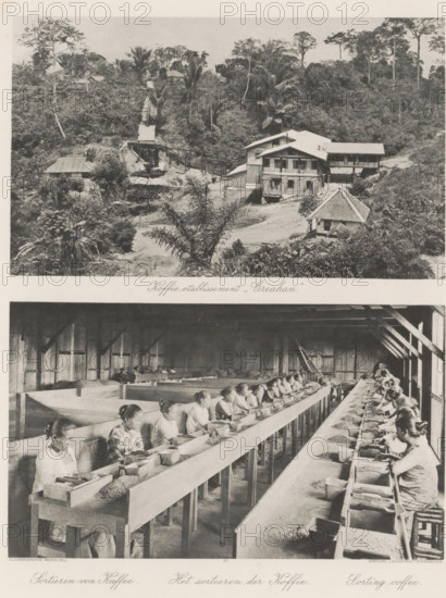 Coffee establishment 'Greahan' (above), The sorting of coffee (below), Coffee establishment 'Greahan' (above) and coffee sorters in a barn (below) on Sumatra, photomechanical print, Part of Album with heliogravures of Sumatra's east coast., number: '37', photographer: Carl J. Kleingrothe, Sumatra, clichémaker: Johann Baptist Obernetter, Munich, in or before 1898, Carl J. Kleingrothe, Johann Baptist Obernetter, photographer, clichémaker, Bavaria, paper, photoaquatint, heliogravure, height 130 mm x width 218 mm, height 128 mm x width 218 mm, coffee, plantation, working class, laborers - AA - women, A black and white composite image showing an elevated view of a wooded hillside with several wooden buildings and a raised conveyor structure in the upper portion, and a large indoor scene below where rows of long wooden workbenches run the length of the room with many women seated on stools along both sides, each woman handling and sorting small items into shallow trays and bowls, the interio...