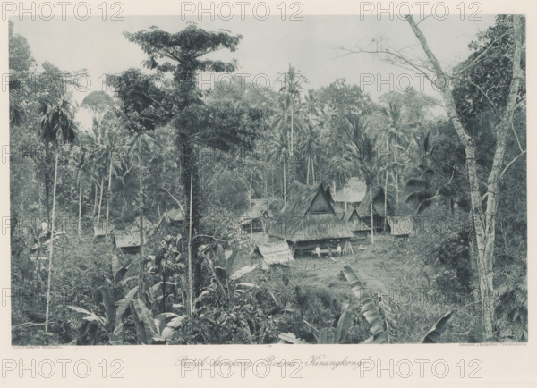 View of Batak village 'Roema-Kinangkong' on Sumatra, Batak - kampong „Roema - Kinangkong', photomechanical print, Part of Album with heliogravures of Sumatra's east coast., number: '48', photographer: Carl J. Kleingrothe, Sumatra, clichémaker: Johann Baptist Obernetter, Munich, in or before 1898, Bavaria, paper, photoaquatint, heliogravure, height 184 mm x width 288 mm, village, A densely forested scene with tall slender palm trees and broad-leaf plants surrounding a small cluster of thatched-roof huts, one hut with a steep peaked roof near the center and several smaller simple structures nearby, a few figures visible standing or sitting by the huts, thick undergrowth and tree trunks filling the foreground and background, large leafy fronds and vines intermingling with trunks and branches, and an open sky above the treetops.