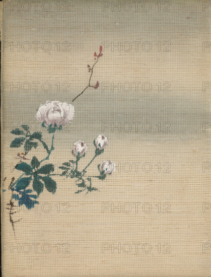 Photo album (empty), photograph album, slip-in album, Photo album in the shape of a leporello with four passe-partouts for a cabinet photo., collector's mark: 'DIENST, VERSPREIDE, RIJKSKOLLEKTIES, A 725', 1860 - 1900, paper, plant material, pasteboard, biological material, wood (plant material), textile materials, paint, slip-in album of wood and cardboard in the shape of a leporello, covered with a beige fabric painted with chrysanthemums, on the front the leporello contains a passe-partout for a cabinet photo on every page, surrounded by painted chrysanthemums, the back of the leporello is also painted with chrysanthemums, height 228 mm x width 171 mm x thickness 25 mm x width 685 mm, A textured beige background with a faint horizontal band of bluish-gray near the top center and left contains a delicate botanical painting in the upper left quadrant, showing a pale pink open rose with layered petals, several smaller rosebuds, dark teal-green leaves and stems, and a thin brown twig bea...
