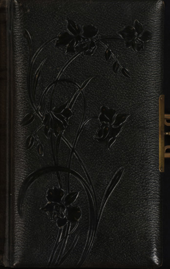 Photo album (empty), photograph album, slip-in album, Photo album with 28 pages with either a passe-partout framed with gold lines for a cabinet photo, or 2 passe-partouts framed with gold lines stacked on top of each other for cartes-de-visite. In total, the album has space for 8 cabinet photos and 40 cartes-de-visite., collector's mark: 'DIENST, VERSPREIDE, RIJKSKOLLEKTIES, A 973', 1860 - 1920, pasteboard, biological material, inorganic material, paper, leather, metal, decorated paper, color on edges, cardboard slip-in album, covered with dark green leather with embossed Art Nouveau floral decoration on the front cover, decorative border printed in gold along the inside of the boards, metal clasp, endpapers covered with ornamental paper, cardboard pages with gold edges, height 276 mm x width 172 mm x thickness 57 mm x width 338 mm, flowers, A close-up of a dark textured surface with an embossed floral design showing curved stems, elongated leaves, and several stylized flowers and bud...