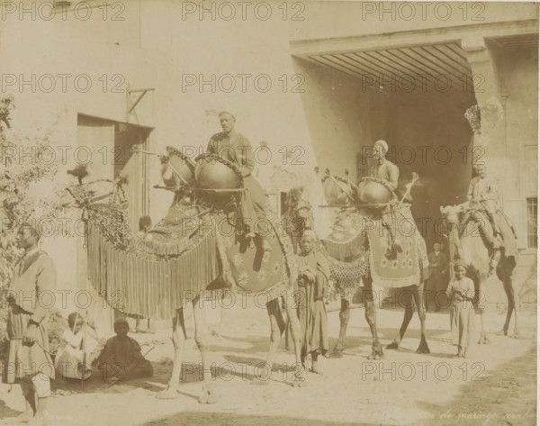 the Arab marriage, Wedding procession with camels in Egypt, photograph, Part of Travel album with 80 photos of Egypt., photographer: Zangaki, C. & G., Egypt, c. 1870 - c. 1890, North Africa, pasteboard, paper, albumen print, height 218 mm x width 275 mm, members of bridal party, A sunlit sepia photograph shows decorated camels with ornate blankets, fringes, and hanging adornments, ridden by men wearing turbans and robes; some riders sit atop large drums mounted on the camels while other men and children stand or sit nearby in traditional garments, with a building featuring a shaded archway and a doorway forming the background.
