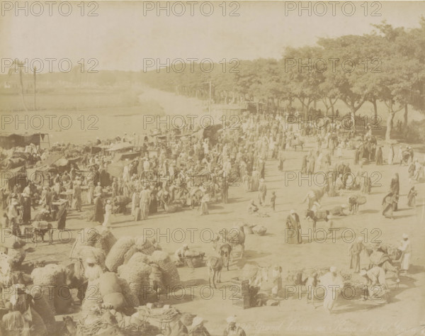 View of the market of Qasr an Nil in Cairo, Grand Bazaar, Kasr el Nil Caire, photograph, Part of Travel Album with 80 Photos of Egypt., negative number: '390', photographer: Zangaki, C. & G., Cairo (city), c. 1870 - c. 1890, Ottoman Empire, North Africa, pasteboard, paper, albumen print, height 220 mm x width 276 mm, market, A wide dusty outdoor scene with many people gathered along a tree-lined dirt road by a body of water, temporary stalls and awnings clustered together, bundles and large woven bales piled on the ground, several animals including donkeys and pack animals with loads, groups of people standing, walking, sitting, and interacting near the stalls, a line of trees casting shade along one side, open fields and a few tall slender palm trees in the distance, and scattered baskets, crates, and tables among the crowd.