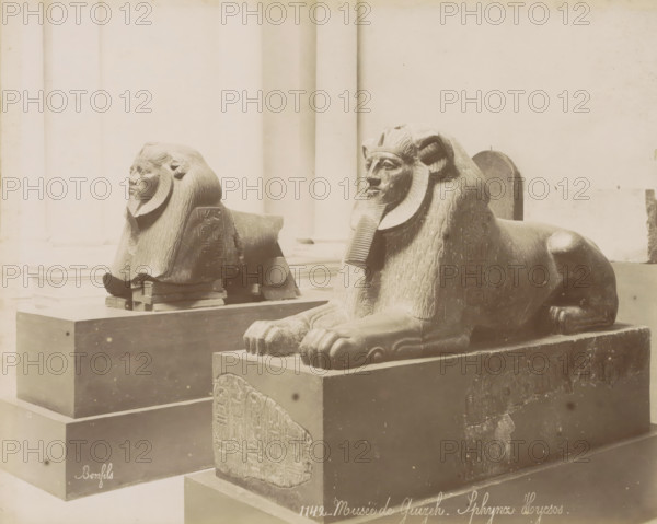 Two sphinxes in the Giza Museum, Musee de Guizeh - Sphynx Hycsos., photograph, Part of Travel Album with 80 Photos of Egypt., negative number: '1142', photographer: Maison Bonfils, Egypt, c. 1870 - c. 1898, North Africa, pasteboard, paper, albumen print, height 220 mm x width 279 mm, piece of sculpture, reproduction of a piece of sculpture (sculpture), Two stone sphinx statues rest on rectangular platforms inside a light colored gallery; the nearer sphinx faces forward with a carved humanlike face and a stylized mane and beard, its front paws extended over the edge of the base and carved panels visible on the sides of the platform, while the smaller sphinx in the background is shown in profile with a similar headdress and mane and sits on a raised block supported by wooden pads; the room shows tall pale columns and walls, and the photograph has a muted, sepia-toned appearance with some spots and surface marks.
